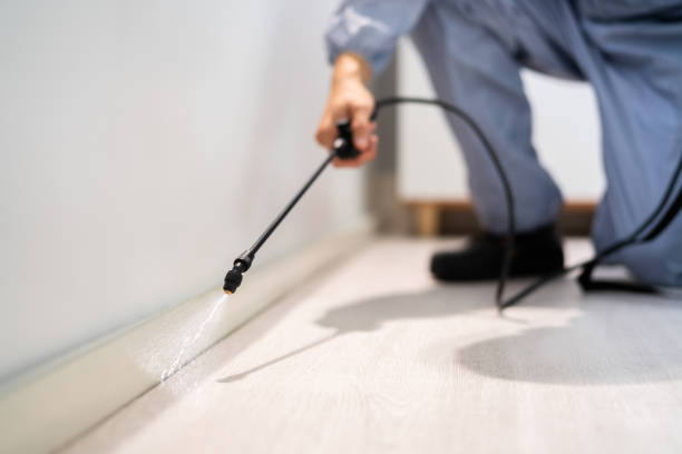 Professional exterminator conducting IPM assessment in Sandusky
