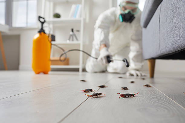 Post-Treatment Bed Bug Interceptor Monitoring in Sandusky